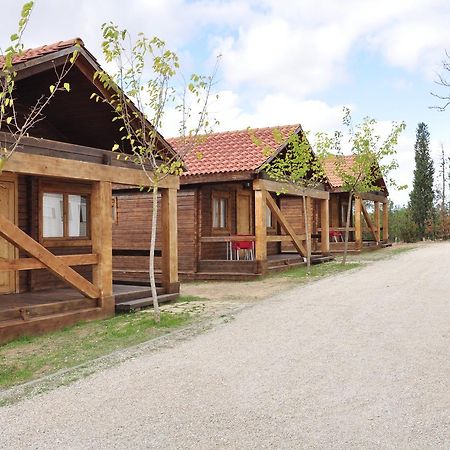 Hotel Camping La Estanca à Alcañiz Extérieur photo